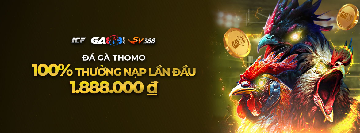 Đá gà Thomo 100% Thưởng Nạp Lần Đầu 1.888.000 ₫