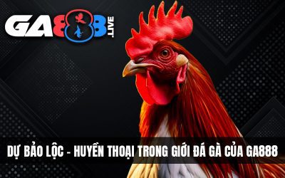 Dự Bảo Lộc – Huyền Thoại Trong Giới Đá Gà Của GA888