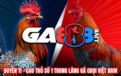 Duyên Ti – Cao Thủ Số 1 Trong Làng Gà Chọi Việt Nam