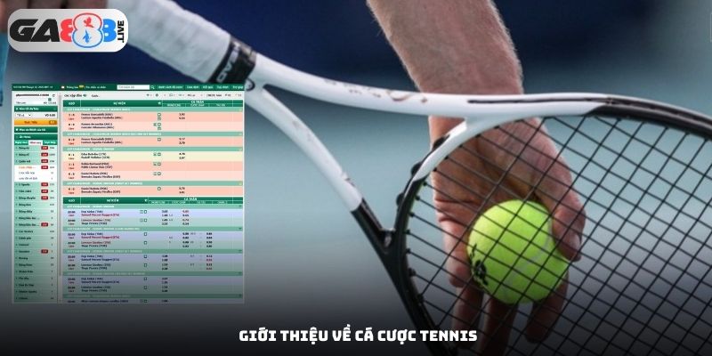 Giới thiệu về cá cược tennis