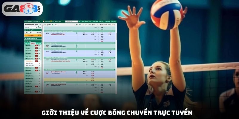 Giới thiệu về cược bóng chuyền trực tuyến