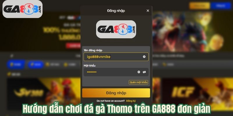 Hướng dẫn chơi đá gà Thomo trên GA888 đơn giản