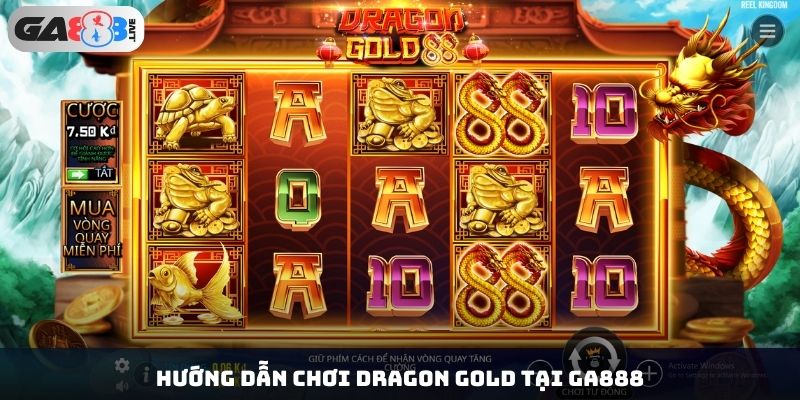 Hướng dẫn chơi Dragon Gold tại ga888