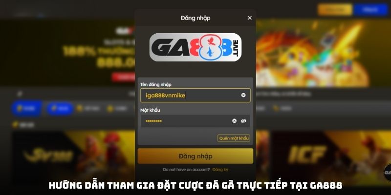 Hướng dẫn tham gia đặt cược đá gà trực tiếp tại GA888