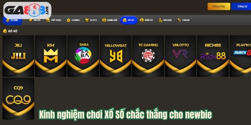 Kinh nghiệm chơi XỔ SỐ chắc thắng cho newbie