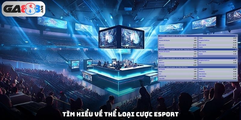 Tìm hiểu về thể loại cược Esport