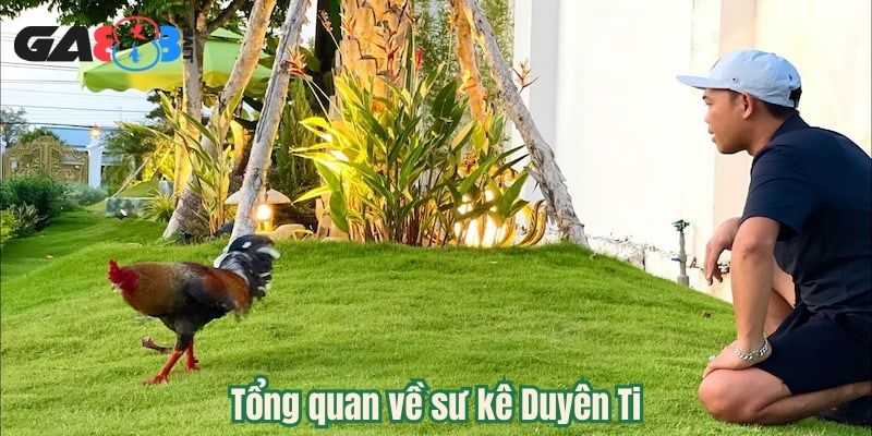 Tổng quan về sư kê Duyên Ti