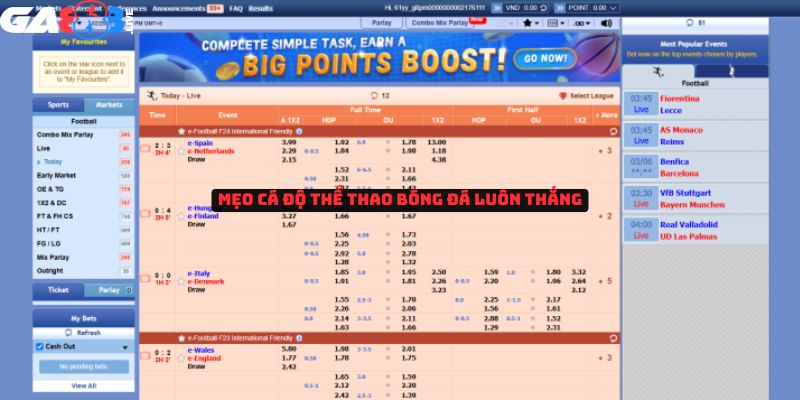 Mẹo cá độ thể thao bóng đá luôn thắng